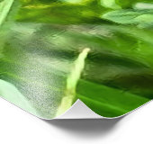 ルーマニア産野生タンポポの植物マクロ写真 フォトプリント (角)