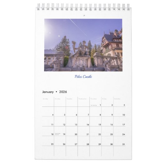 ルーマニア美しいペ独身のージカレンダー カレンダー (1月 2026)