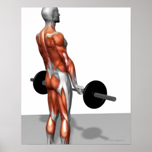 ルーマニア語Deadlift ポスター