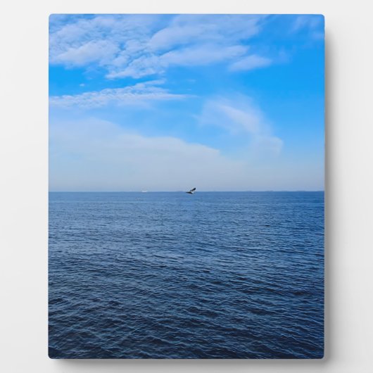 ルーマニア黒海の静けさ – カモメと青空のプリント フォトプラーク (正面)