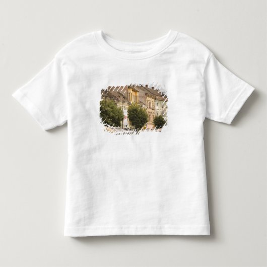 ルーマニア シビウ 新市街 (RF) トドラーTシャツ (正面)