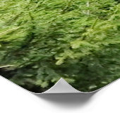 ルーマニア，ボルボッチ湖 ポスター (角)