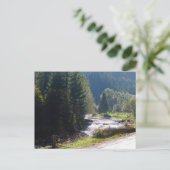 ルーマニア、モルドバの山の川 ポストカード (スタンド正面)