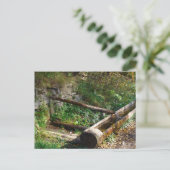 ルーマニア，モルドバ，木製の水トラフ ポストカード (スタンド正面)