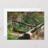 ルーマニア，モルドバ，木製の水トラフ ポストカード (正面/裏面)