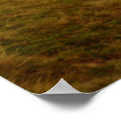 ルーマニア,モルドバ,木造の正教会 ポスター (角)