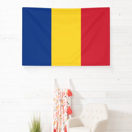 ルーマニア 横断幕 (インサイチュ)