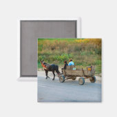 ルーマニア,馬とカートの輸送 マグネット (正面/裏面)