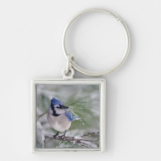 ルーマンズカゲロウ キーホルダー (正面)