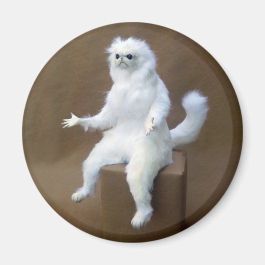 ルームガーディアンミーム磁石 マグネット (正面)