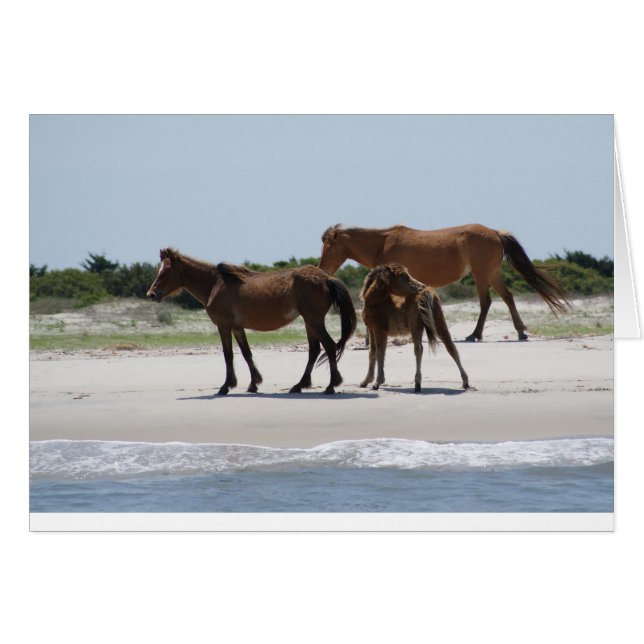 ルームフリーII (正面横)