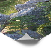 ルーラルアイルランド ポスター (角)