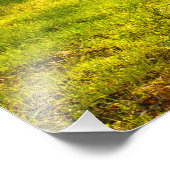 ルーラルテネシー春モーニングライト フォトプリント (角)