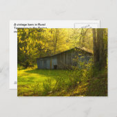 ルーラルテネシー春モーニングライト ポストカード (正面/裏面)