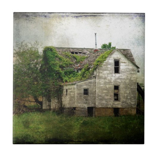 ルーラルミズーリ放棄ハウス タイル (正面)