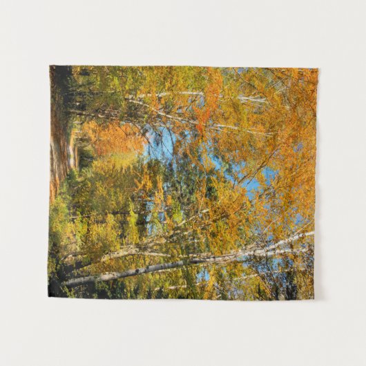 ルーラルロードオータムカラーズニューハンプシャー タペストリー (正面(横))