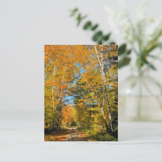 ルーラルロードオータムカラーズニューハンプシャー ポストカード (スタンド正面)