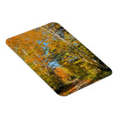 ルーラルロードオータムカラーズニューハンプシャー マグネット (右側)