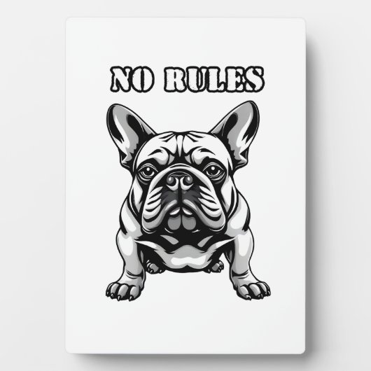 ルールなし フォトプラーク (正面)