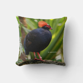 ルールルクレステッド材のパトリッジの輪郭 クッション