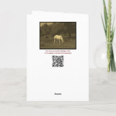 ルーンウルズ – ウィズダム カード (裏面)