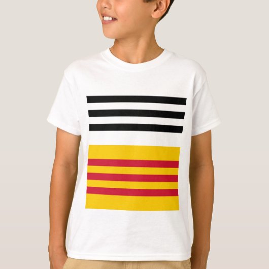ルーンオペーズンド国旗 Tシャツ (正面)