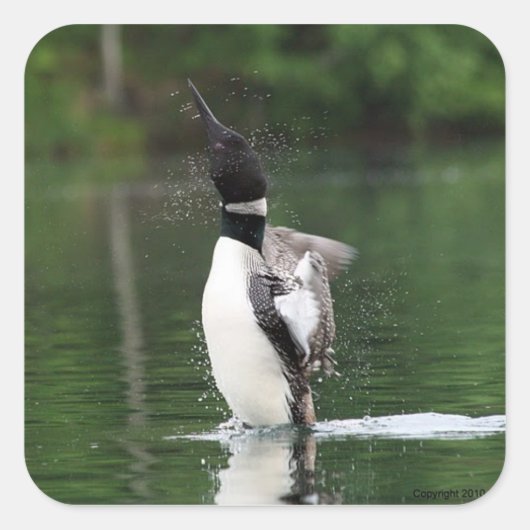 ルーンステッカー スクエアシール (正面)