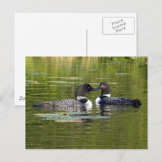 ルーンズ ポストカード (正面/裏面)