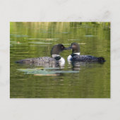 ルーンズ ポストカード (正面)