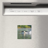 ルーンチェザーマグネット マグネット (インサイチュ (食洗機))