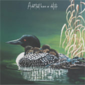 ルーンファミリーアウトティング シール (正面)