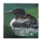 ルーンファミリーアウトティング タイル (正面)