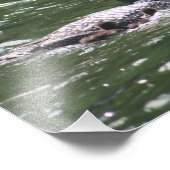 ルーンベビー2 フォトプリント            (角)