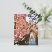 ルーヴェンベルギー旅行写真はがき ポストカード (スタンド正面)