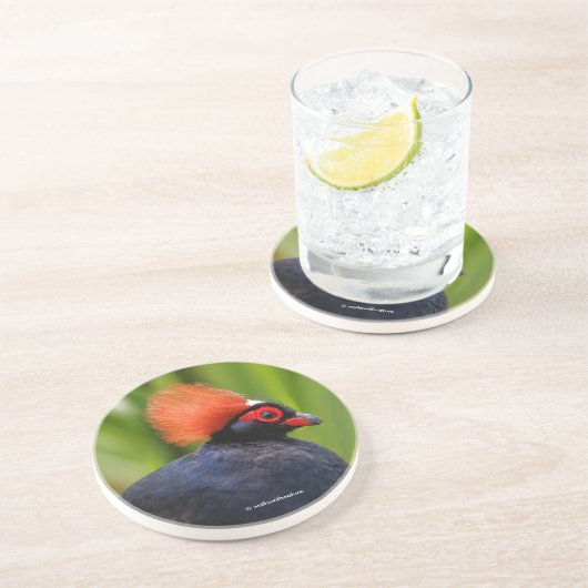 ルー素晴らしルのクレステッド・ウッド・パトリッジバード コースター (側面)