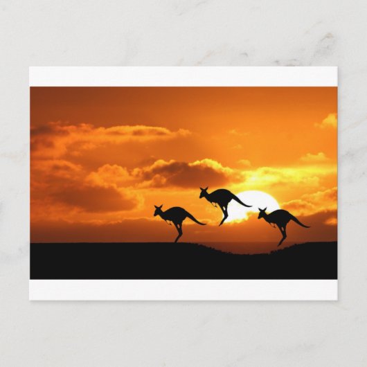 ルー・ランナーズ ポストカード (正面)