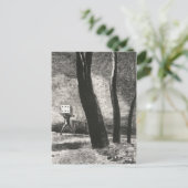 ル・ジュウル(ザ・プレイヤー)byオディロン・レドン ポストカード (スタンド正面)