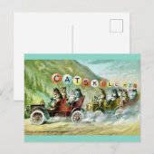 レアなキャツキル山の猫たち ポストカード (正面/裏面)