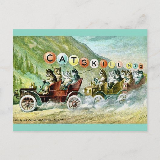 レアなキャツキル山猫たち ポストカード (正面)