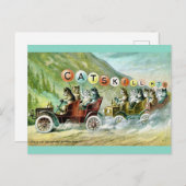 レアなキャツキル山猫 ポストカード (正面/裏面)