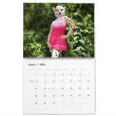 レアカレンダー2025 カレンダー (3月 2026)