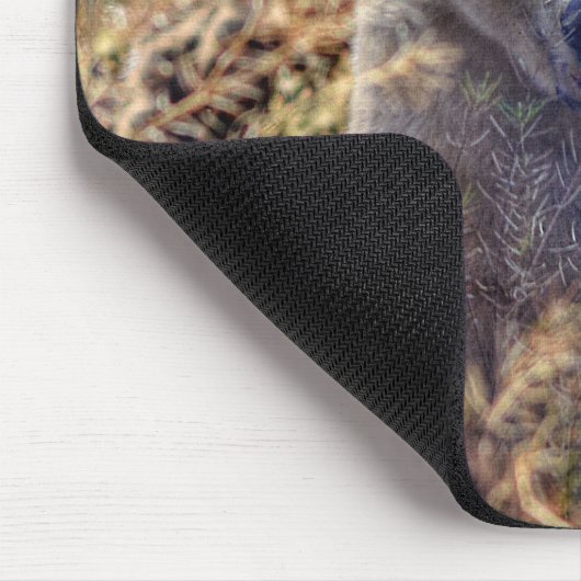 レアカーモードベア(スピリットベア)野生生物写真 マウスパッド (コーナー)