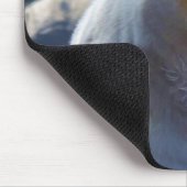 レアカーモードベア（スピリットベア）野生生物写真 マウスパッド (コーナー)