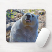 レアカーモードベア（スピリットベア）野生生物写真 マウスパッド (マウス)