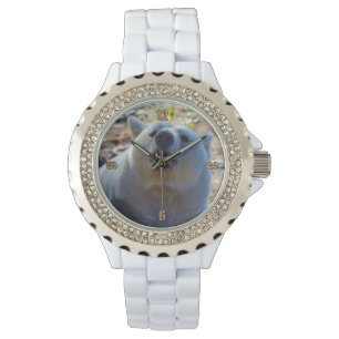 レアカーモードベア(スピリットベア)野生生物写真 腕時計