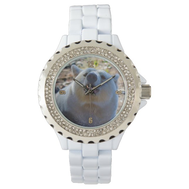 レアカーモードベア（スピリットベア）野生生物写真 腕時計 (正面)