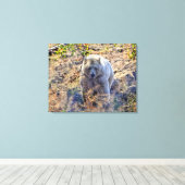 レアカーモードベア(Spirit Bear)写真 キャンバスプリント (インサイチュ (ウッドフロア))