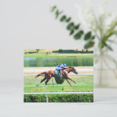 レアステークス賞受賞クリ子馬 ポストカード (スタンド正面)