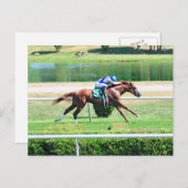 レアステークス賞受賞クリ子馬 ポストカード (正面/裏面)
