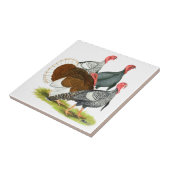 レアトルコカルテット タイル (側面)